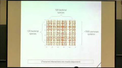 Dr. Shiri Freilich | Taking a bottom-up approach: using metabolic models to study how interactio...