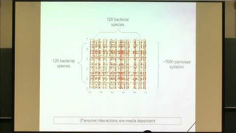 Dr. Shiri Freilich | Taking a bottom-up approach: using metabolic models to study how interactio...
