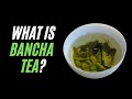 All you need to know about bancha  how to make bancha how bancha is made and what it tastes iike