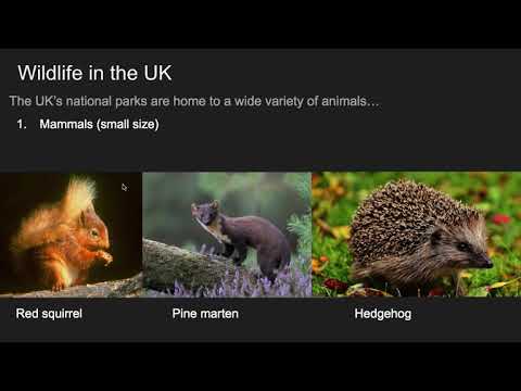 Video: Naturlig Mångfald: Storbritanniens Nationalparker - Matador Network