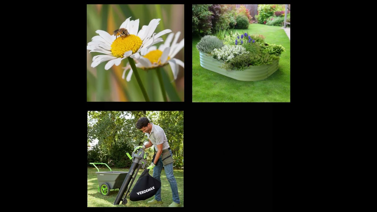 Discover Top Gardening Essentials Wildflower Seeds Raised Beds More 