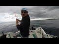 Sydney Snapper Kingfish and Squid Fishing