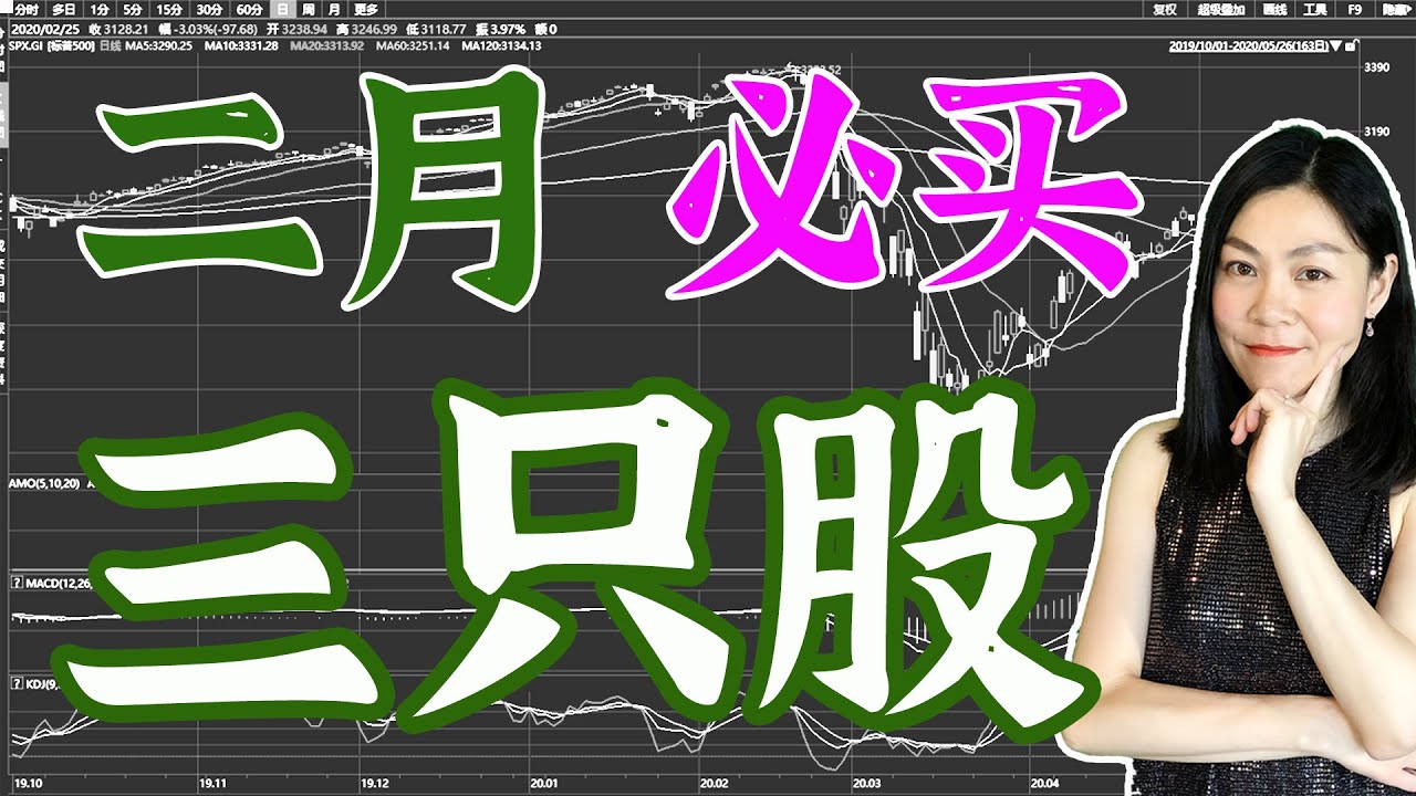 美股分析 二月必买三只股 Youtube