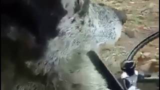 Herkes Ekmeğinin Derdinde :)