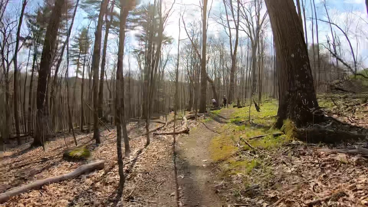 MTB Harwinton Trail YouTube