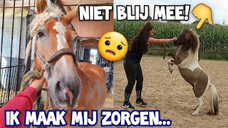 NAALDEN IN WINNETOU & DIABLO STEIGEREN OP COMMANDO..