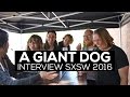 Capture de la vidéo A Giant Dog Interview Sxsw 2016
