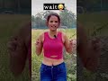 Kutta Nahi Kutiya 😂😂#roast #roasting #roastvideo