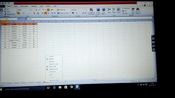 Excel- Pivot Table, data summary & pie chart