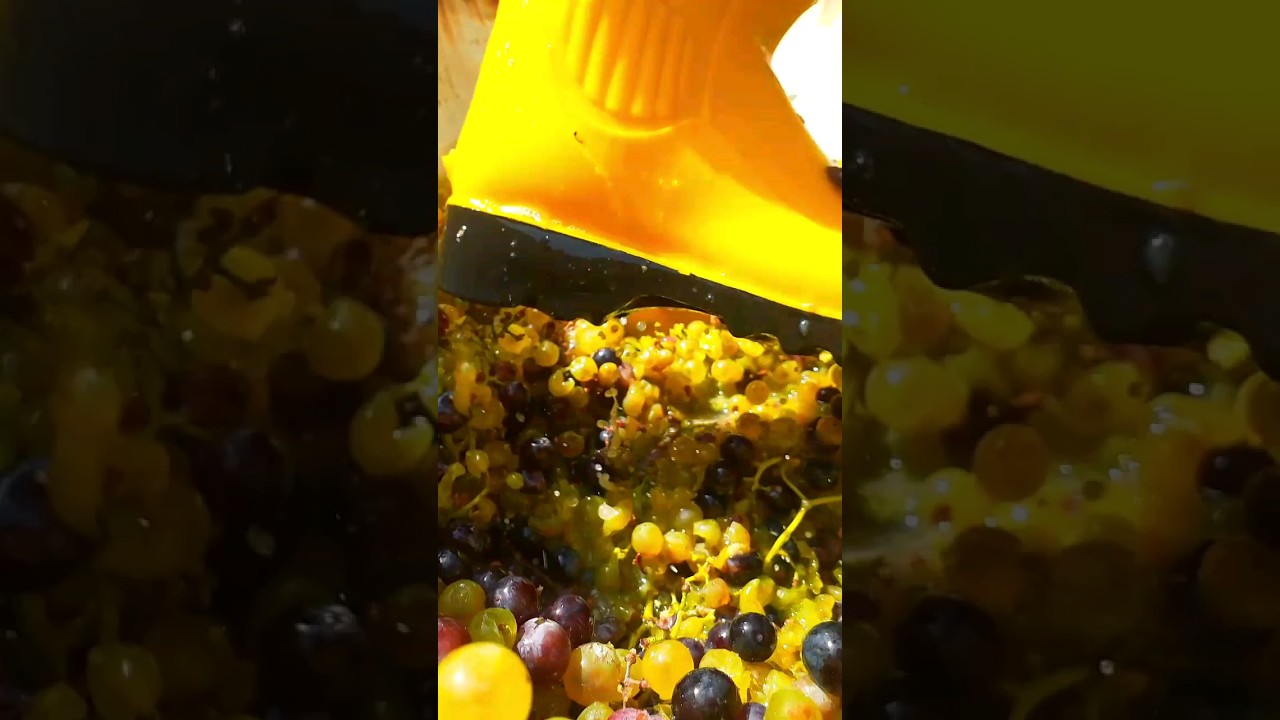 КАК ДЕЛАЮТ БАКИНСКИЙ ДОШАБ GRAPE MİRACLE FROM DİSEASES🧚‍♀️🏡