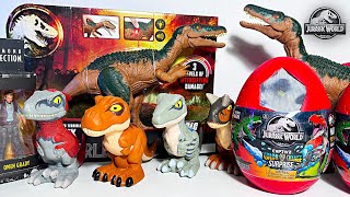 UNBOXING NEW Jurassic World Captivz Surprise Eggs! Giganotosaurus, Carnotaurus, Tyrannosaurus Rex by Dan Surprise 62,964 views 2 months ago 33 minutes