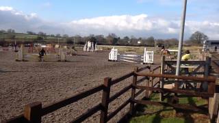 Anis Show Jumping at Tushingham