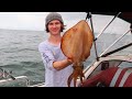 Big Shallow Water Squid | Unstoppable Westernport Sharks