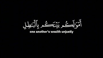والله يريد ان يتوب عليكم | محمد اللحيدان - من الآية 27 إلى الآية 29 من سورة النساء ( شاشة سوداء )