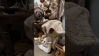 Where you can find over 100,000 unique antiques and oddities in Austin Texas