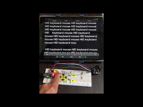 HID by Pro Micro