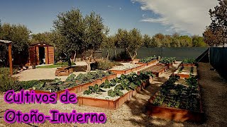 Paseo por el Huerto! Vemos los Cultivos de Otoño-Invierno