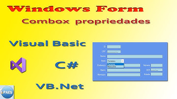 ComboBox propriedades - Windows Form - VB.Net e C#