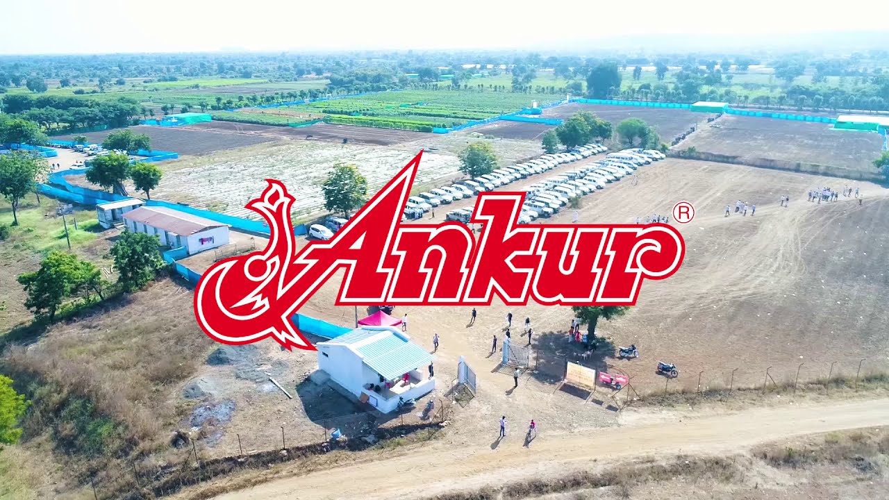 Farmers 'Mega Field Days 2019' | Farmers Meet | Kinhi | Demo | Ankur Seeds - The Symbol of Trust