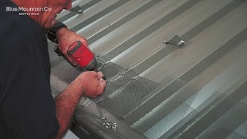 Steel Gutter Mesh on a Trimdek® roof