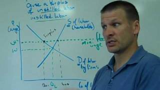 Minimum Wage Laws - a Simple Study