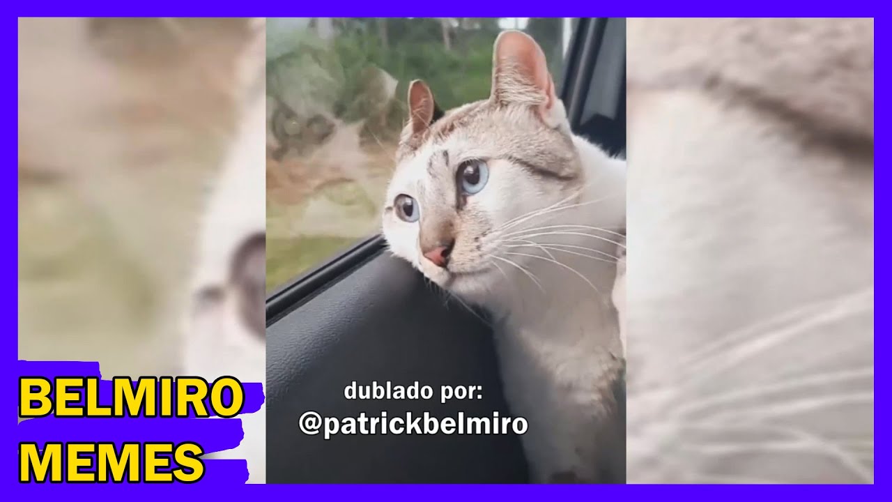 Belmiro Memes: Melhores dublagens engraçadas da semana 37