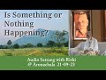 Is something happening or nothing happening  audio satsang with rishi