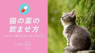 【猫の薬の飲ませ方】日本動物医療センター