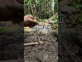 Primary fire Ignition, Hand drill #primitivefirelighting #bushcraft