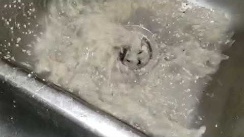 Garbage Disposal Clogged? Sink Clogged? Not Draining?