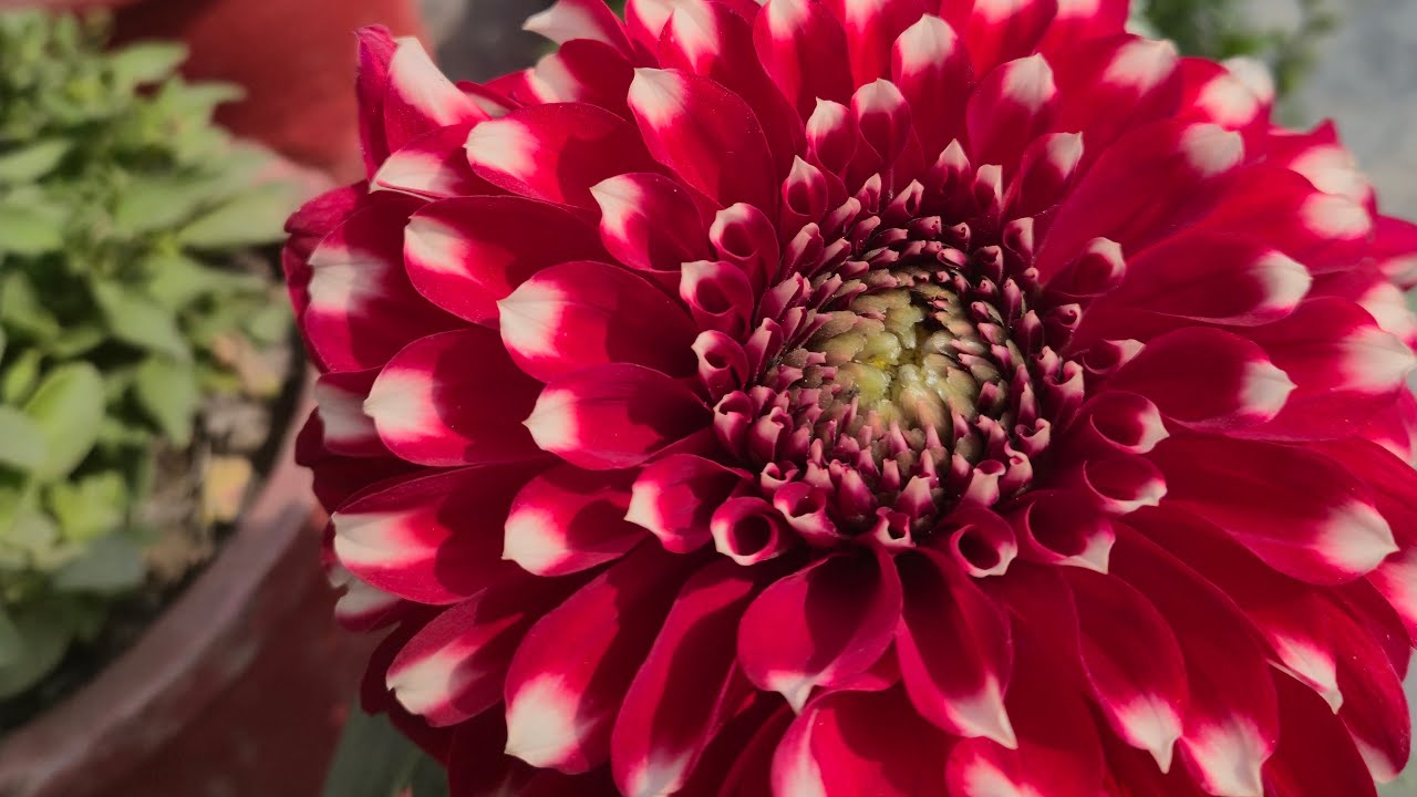 स्वागत छ सबैजनालाइ🙏