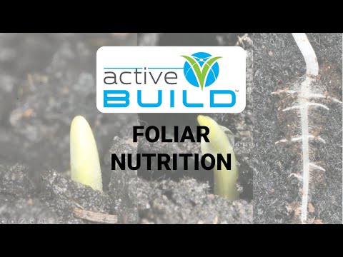 The Agronomy Behind Active BUILD