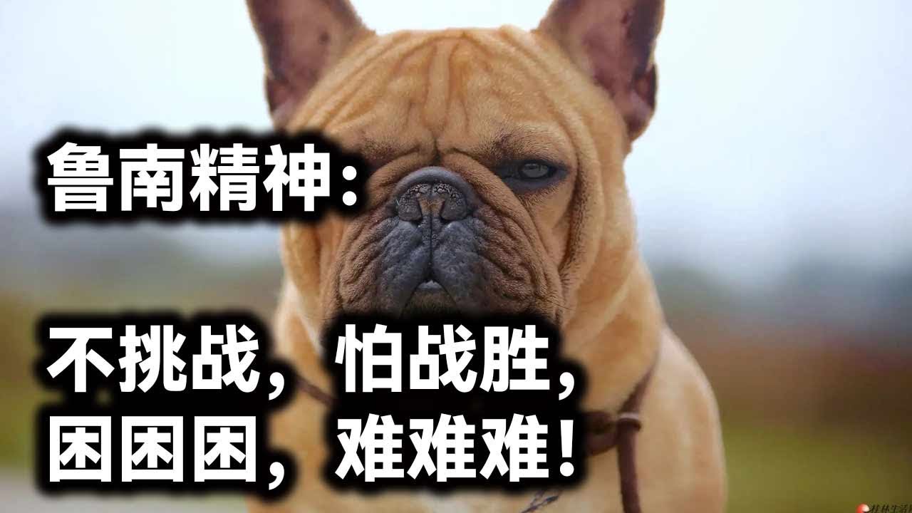 鲁南精神:不挑战,怕战胜,困困困,难难难! - YouTube