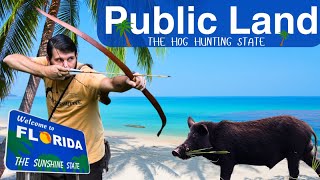 Florida PUBLIC Land HOG Hunt. How-To / Tips & Tricks