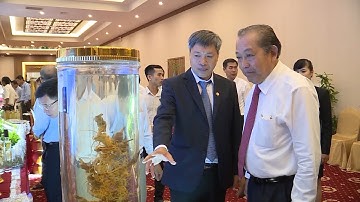 Tỏa sáng Sâm Ngọc Linh - Phiên Chợ sâm Ngọc Linh