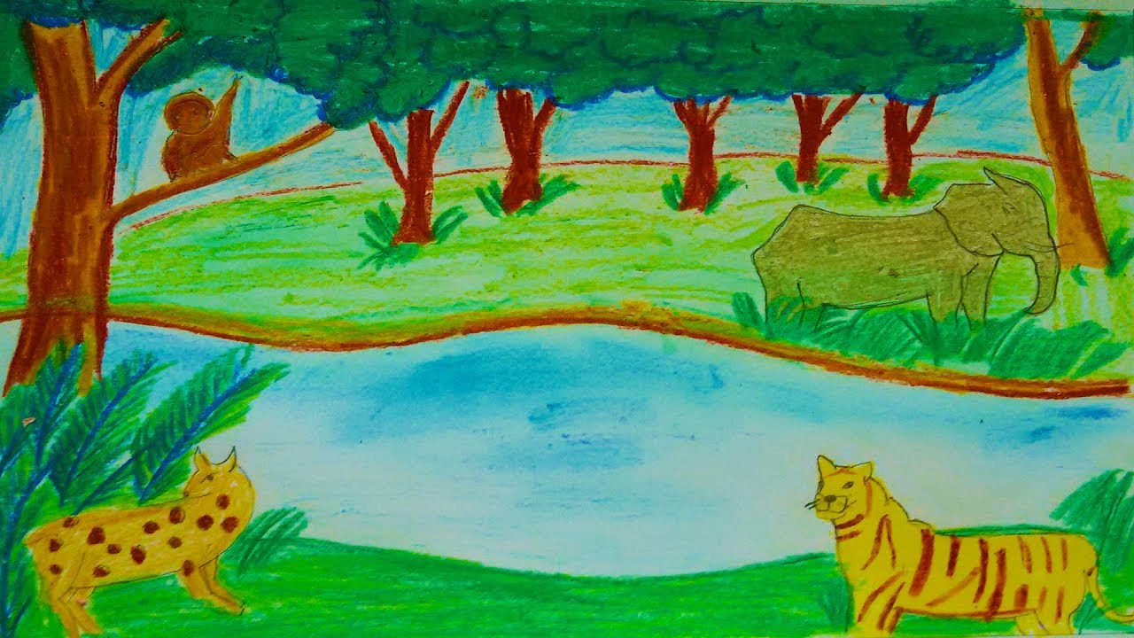 How To Draw Forest | Sundarban Forest Drawing - YouTube