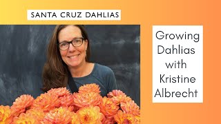 Growing Dahlias with Kristine Albrecht of Santa Cruz Dahlias