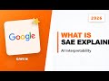 What is SAE-Res-Qwen3.5? Sparse Autoencoders Explained