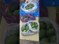 Это не огурцы. Это фейхоа. Бывают плоды и крупнее.
