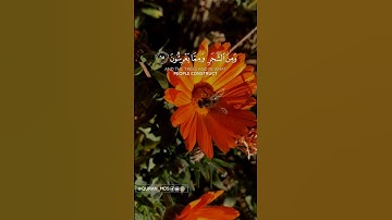من سورة النحل الشيخ ادريس ابكر