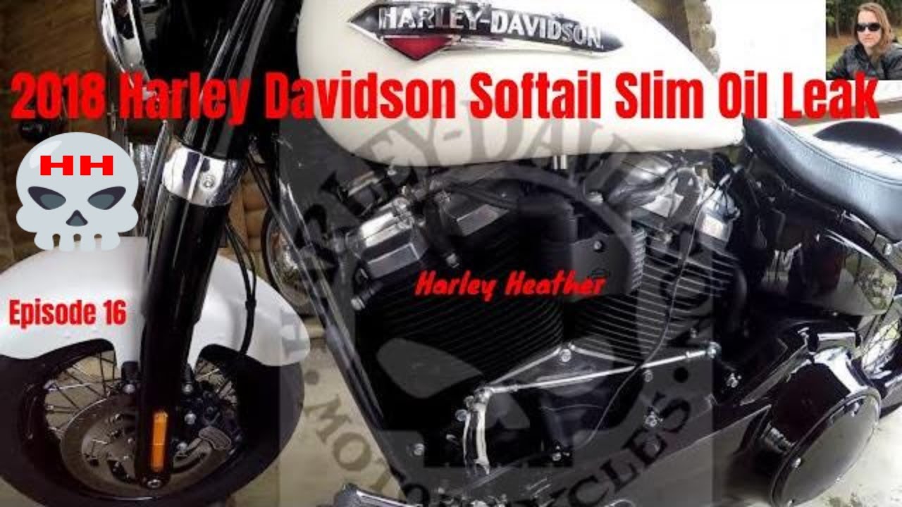 2018 Harley Davidson Softail Slim Oil Leak YouTube