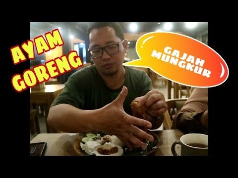 Banyak sekali olahan ayam yang bisa dimasak.Diantaranya adalah dipanggang. Dengan dipanggang maka le. 