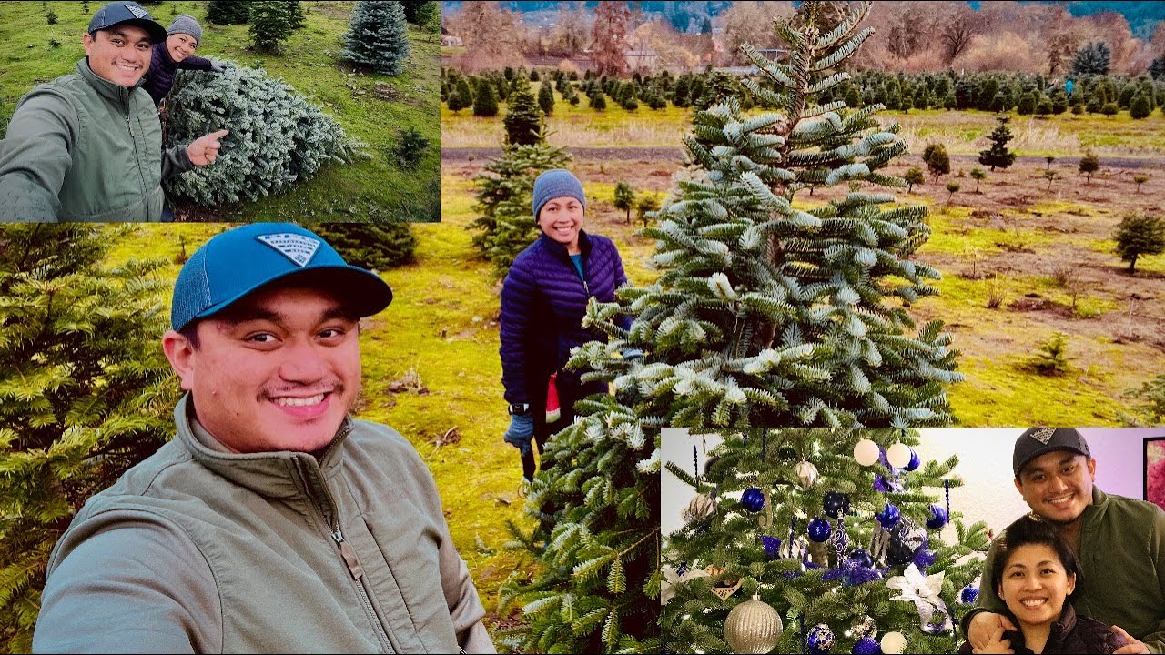 Christmas Tree Hunt & Decorating 2021. Oakland Tree Farm. Oregon. 11/26