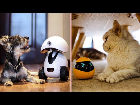 Intelligent Robots for Your Pet [+video]