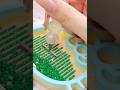 Diamond Painting💚Visual ASMR for Relaxation 💫💎Diamond Painting ASMR #asmr#diamondpainting#shorts