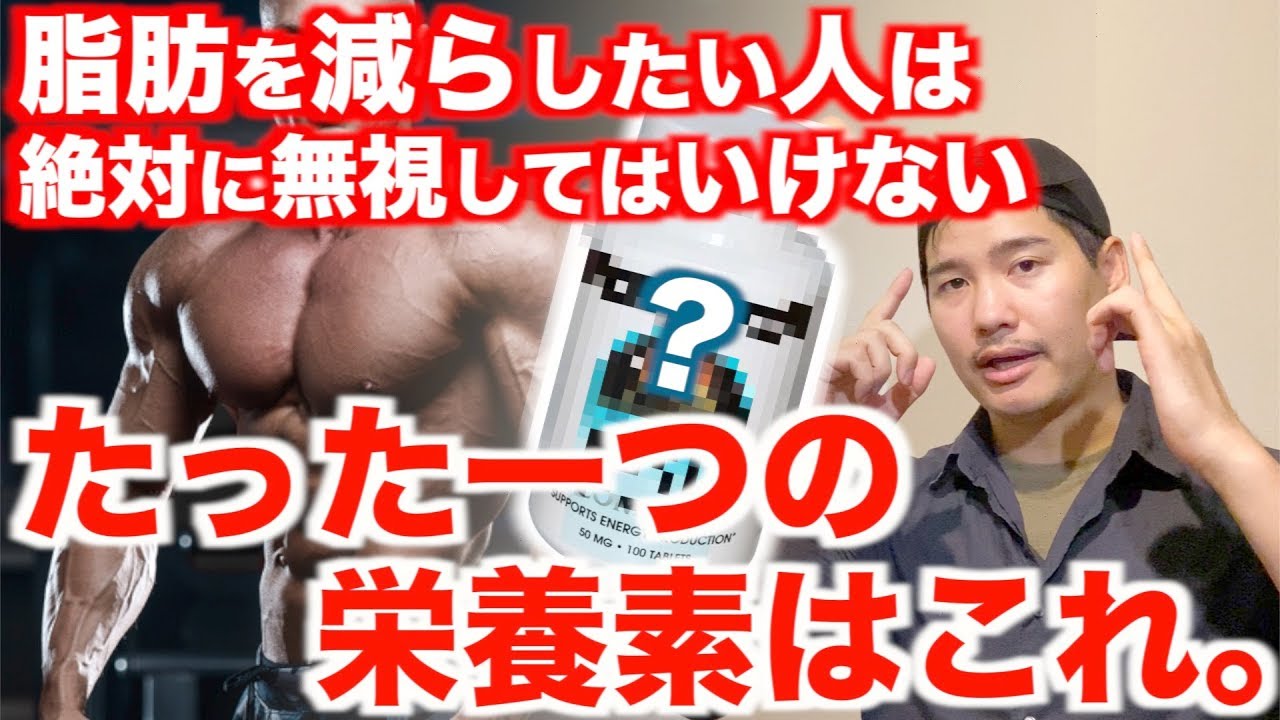 残念ながら【この栄養が足りてないと体脂肪は落ちません】たった一つの栄養素を徹底解説。