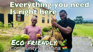 This off Grid Community in Ghana is a game changer for Repats (African American founder explains)