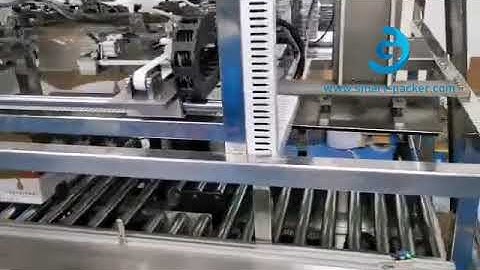 Butter bag in box automatic bag forming inserting case packing machine bag in box packaging line