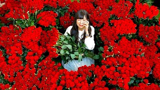 1万本。一生分のバラの花束で愛を伝えます。
