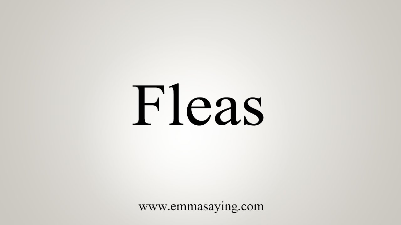 How To Say Fleas YouTube